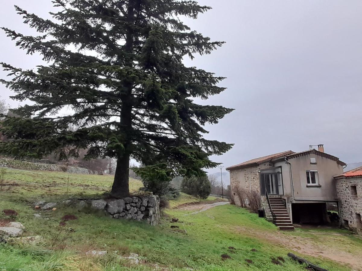 La Grangette Du Mas * Chassiers